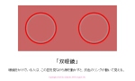 997019c2.jpg