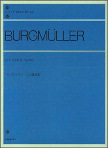 41Z79Z6BZPL__SX345_BO1,204,203,200_