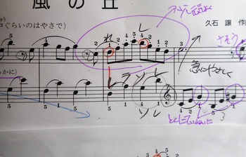 DSCN2780 (2)