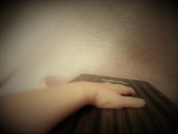 DSCN2936 (2)