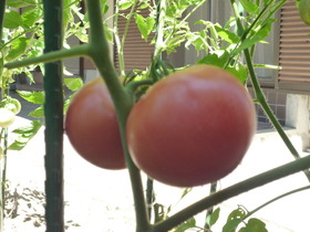 P1010367