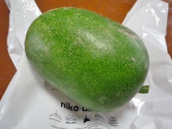 P1060275