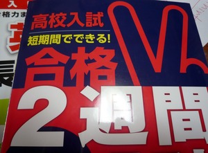 P1040206