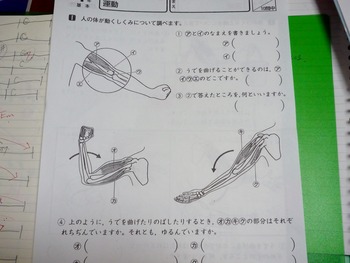 P1060066