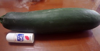 P1100749