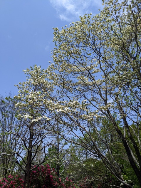 line_82950889914330