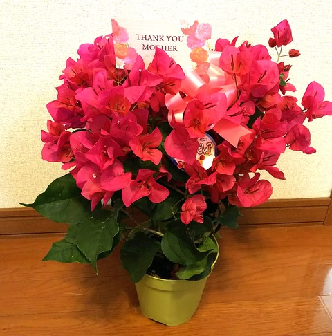 IMG_20200510_092430