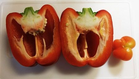 パプリカの赤ちゃん ミュージカル観劇史