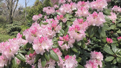 line_40556730335401