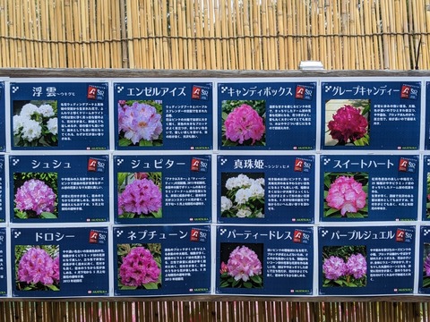 line_83982359751592