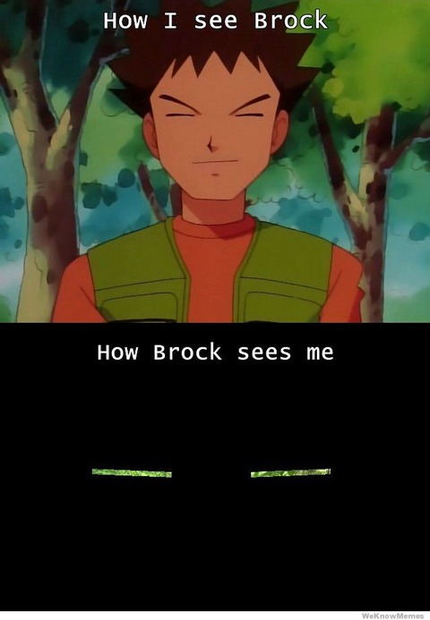 http://weknowmemes.com/wp-content/uploads/2012/01/how-i-see-brock-how-brock-sees-me.jpg