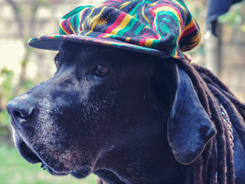 17年02月 音楽ネタまとめ