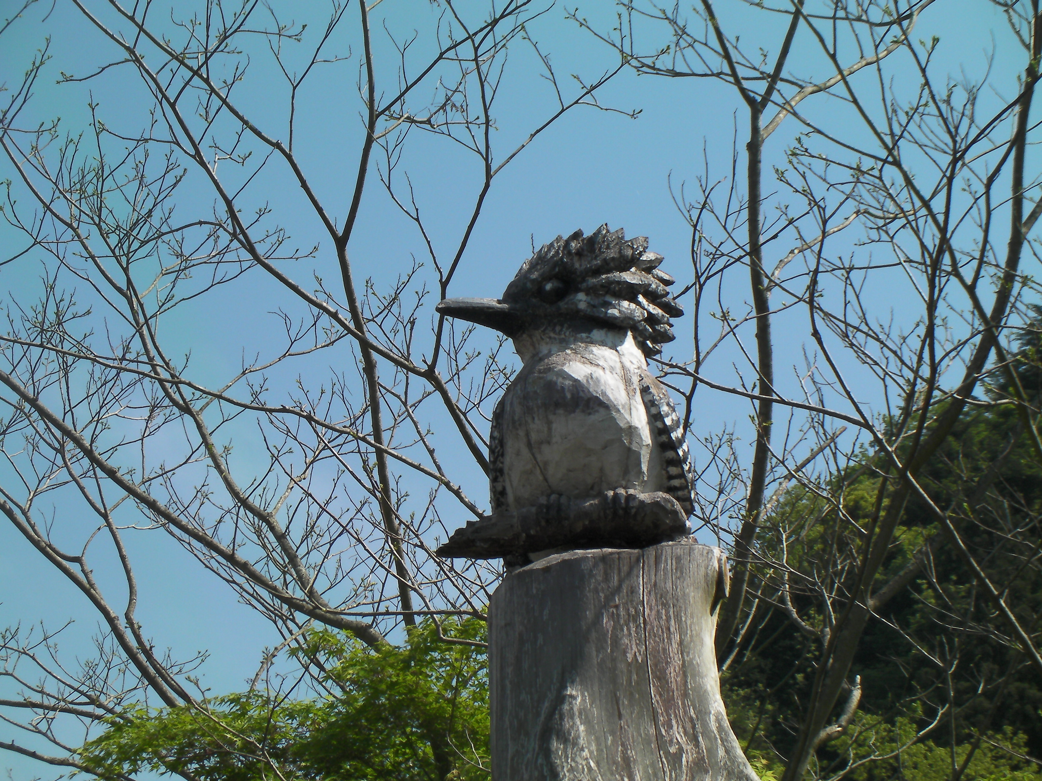 奥多摩湖バードウォッチング ヤマセミ探し 無想転生 無から転じて生を拾う