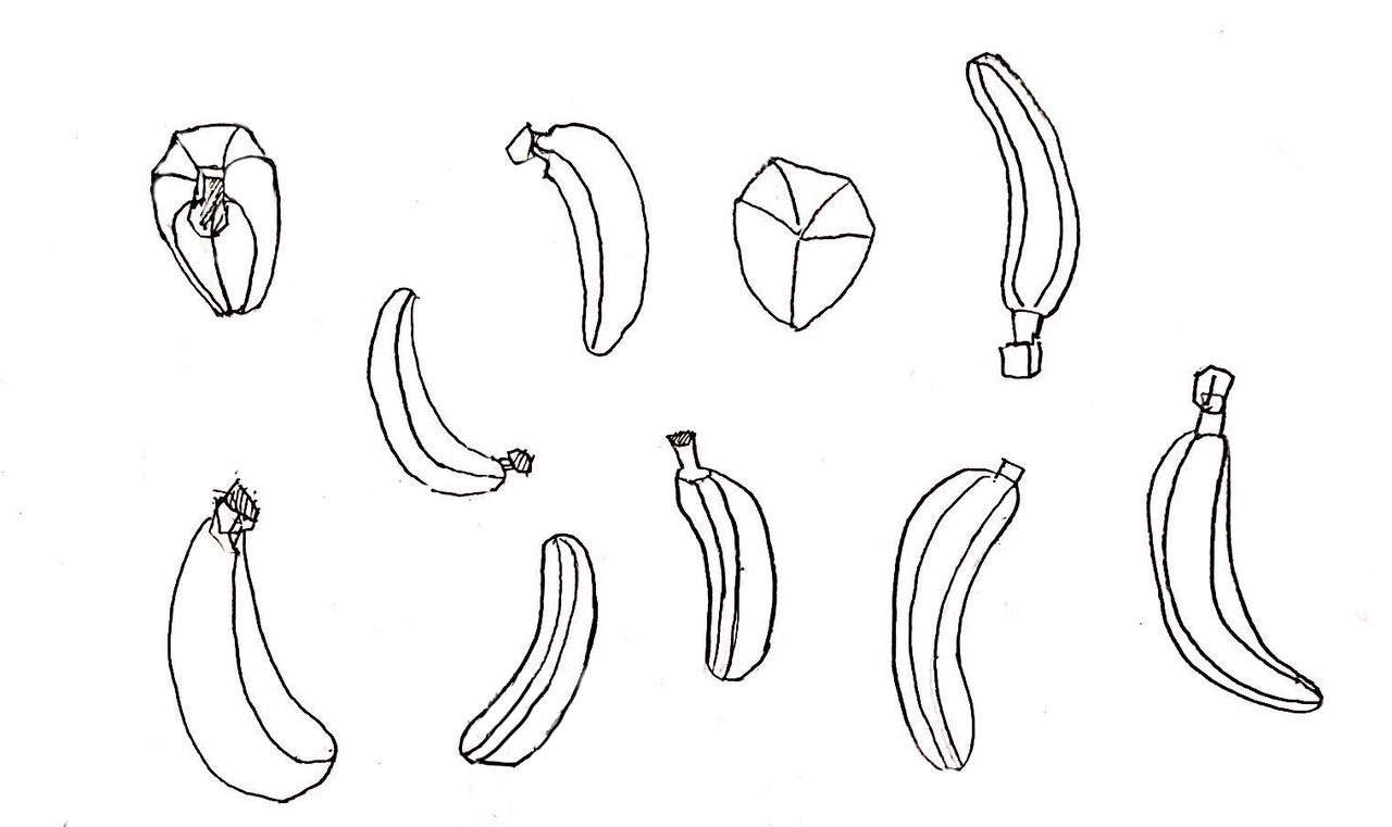 バナナのキャラクターを作ろう キャラクター作りの前にバナナの観察が大切だってことがわかった ウェルとゆいの 創造的 キャラクター ワークショップ