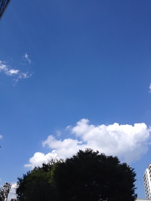 {735705BB-B386-4C2A-AEE9-0445EB2802DF:01}