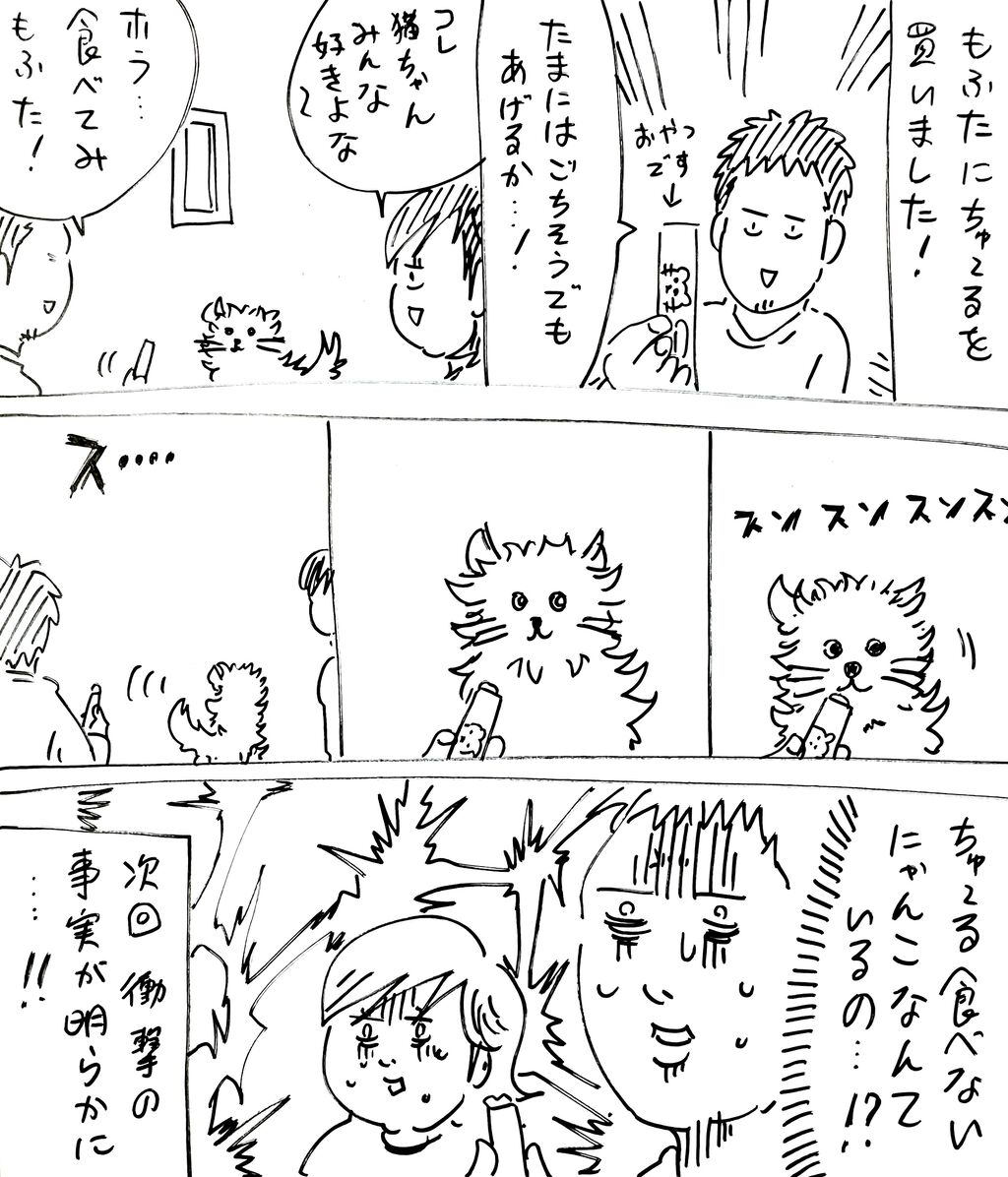 もふた はじめてのちゅ る きょうの横山家 Powered By ライブドアブログ もふた はじめてのちゅ る きょうの横山家 Powered By ライブドアブログ