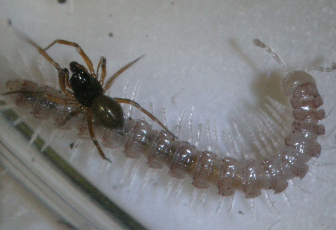 011017̵¿�� 048�䥹�ǥ���̥�