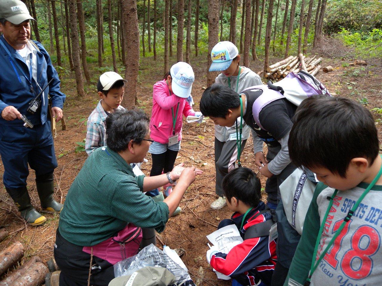 101017�ॿ������ (3)