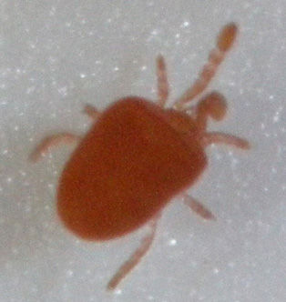 011017̵¿�� 034���˥���̥�2