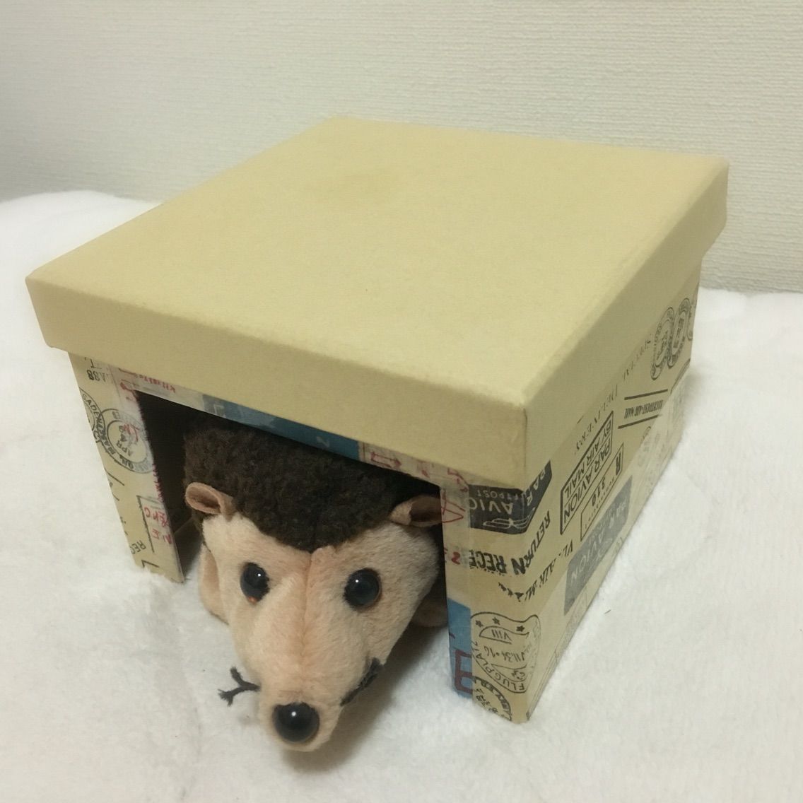 100均でできる手づくりハリネズミハウス めげるな私 口 ハリネズミlife