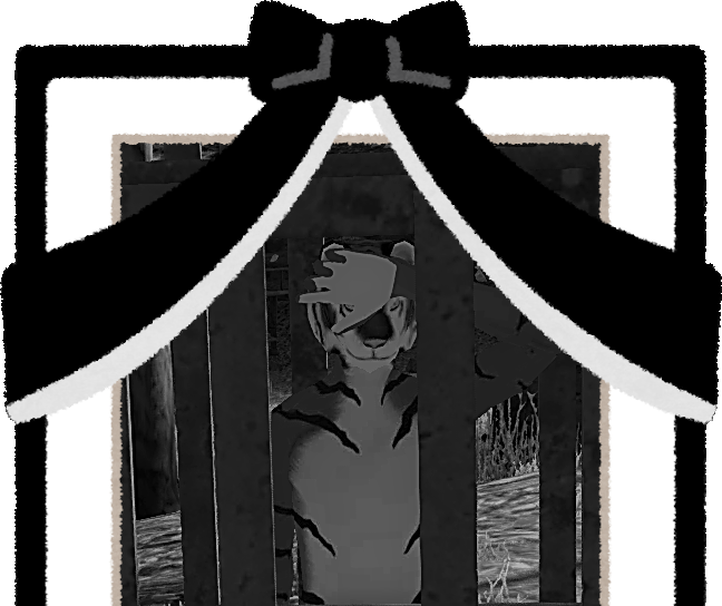 Kenshi 死因 好奇心 且 お茶の時間 且