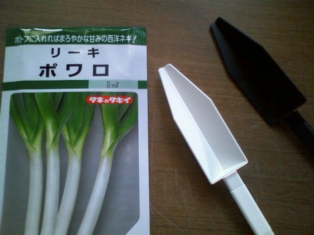 且 お茶の時間 且 スカイリム飯 種から作ったリーキのグリル ハルメアス モラのイカスミスパゲティ