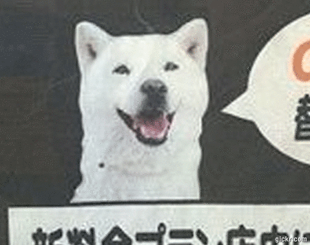 ソフトバンクのお父さん犬がauの広告に登場 Auに替えるか むつ速