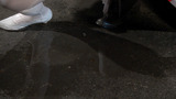61