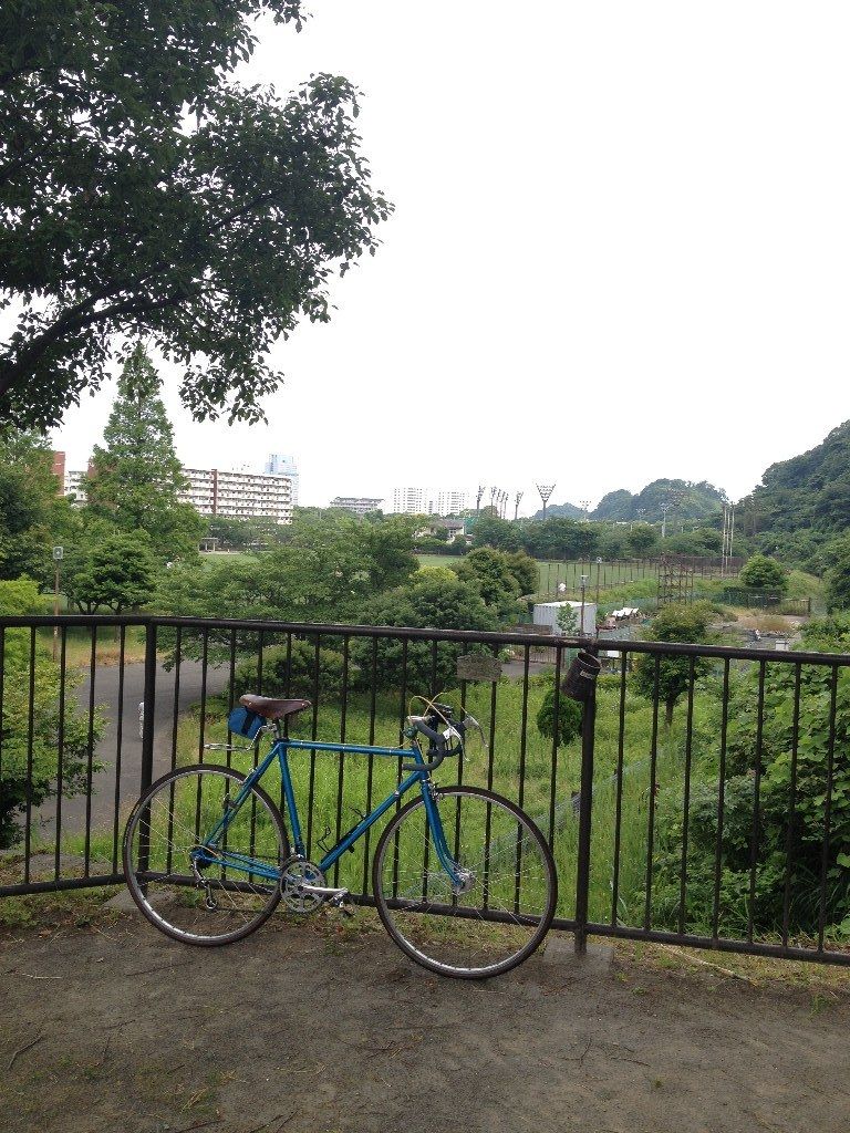 イメージ 5