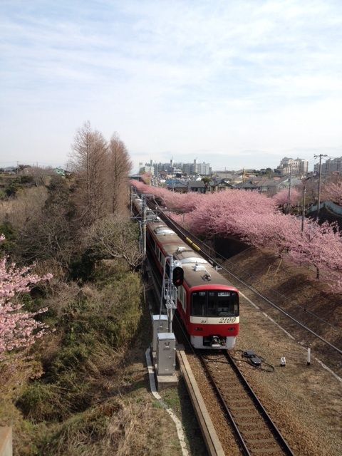 イメージ 6