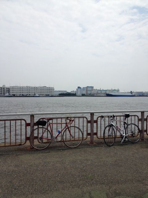 イメージ 6