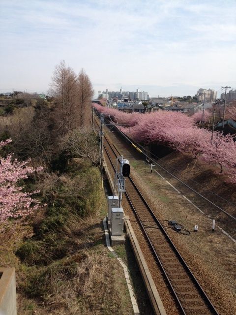 イメージ 8