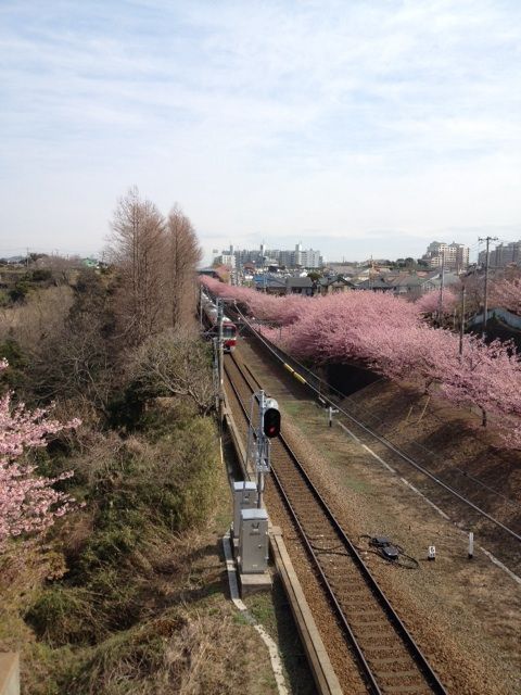イメージ 4