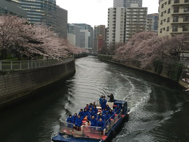 イメージ 7