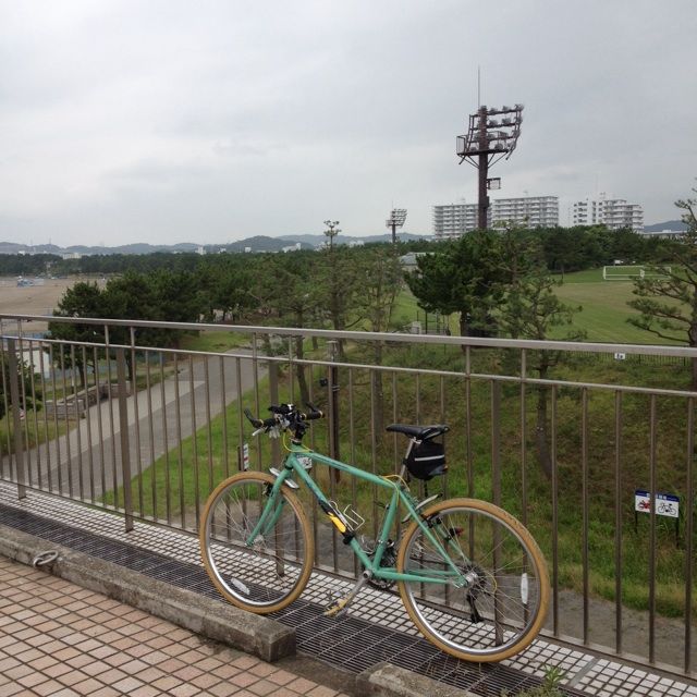 イメージ 7