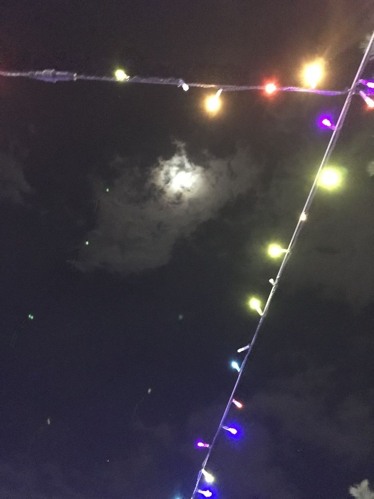 イメージ 11