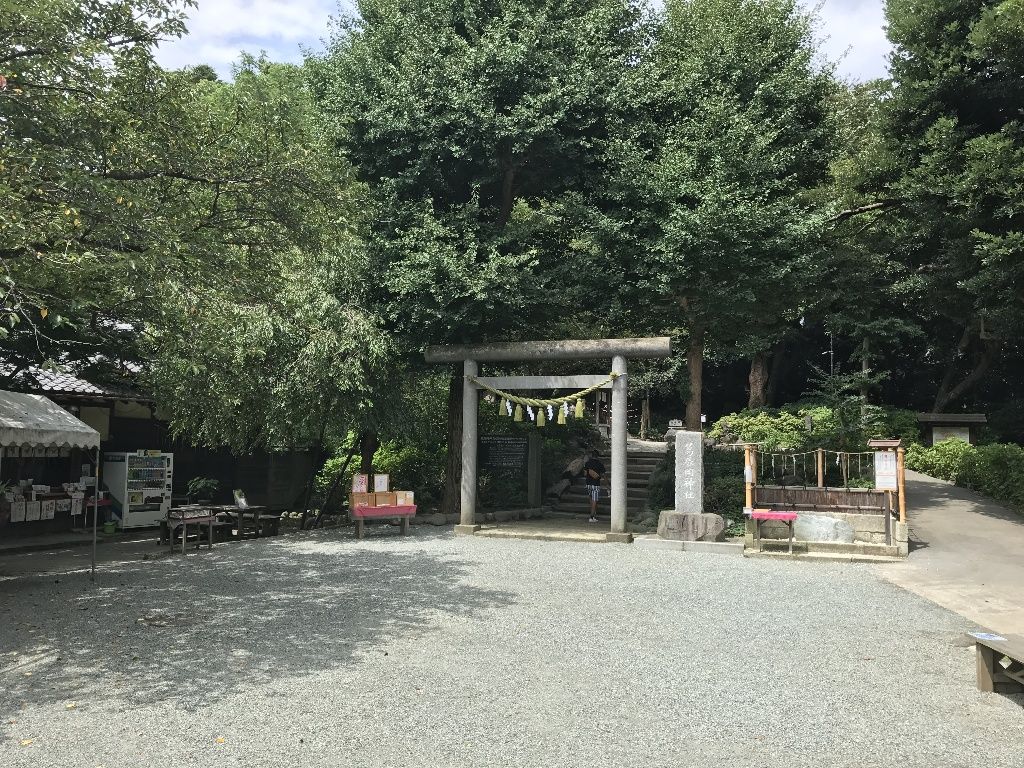 イメージ 5