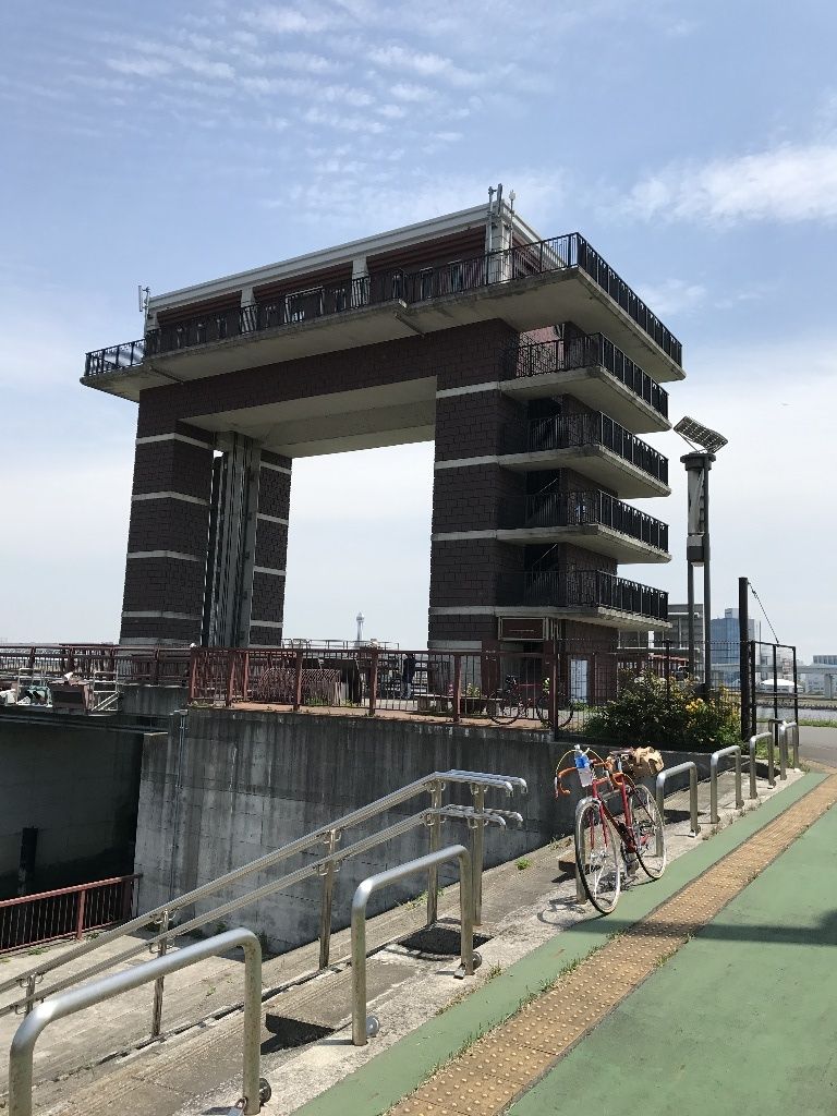 イメージ 8