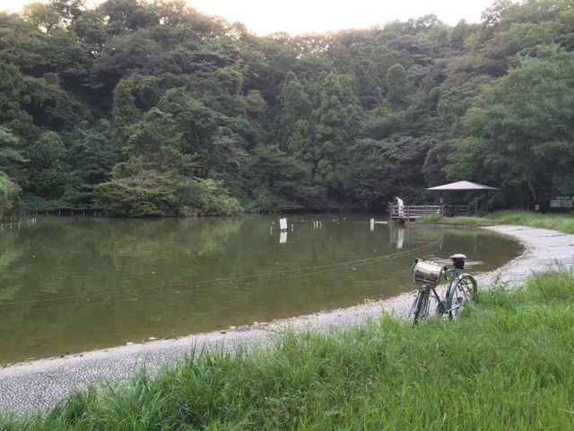 イメージ 7