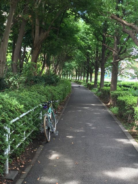 イメージ 4