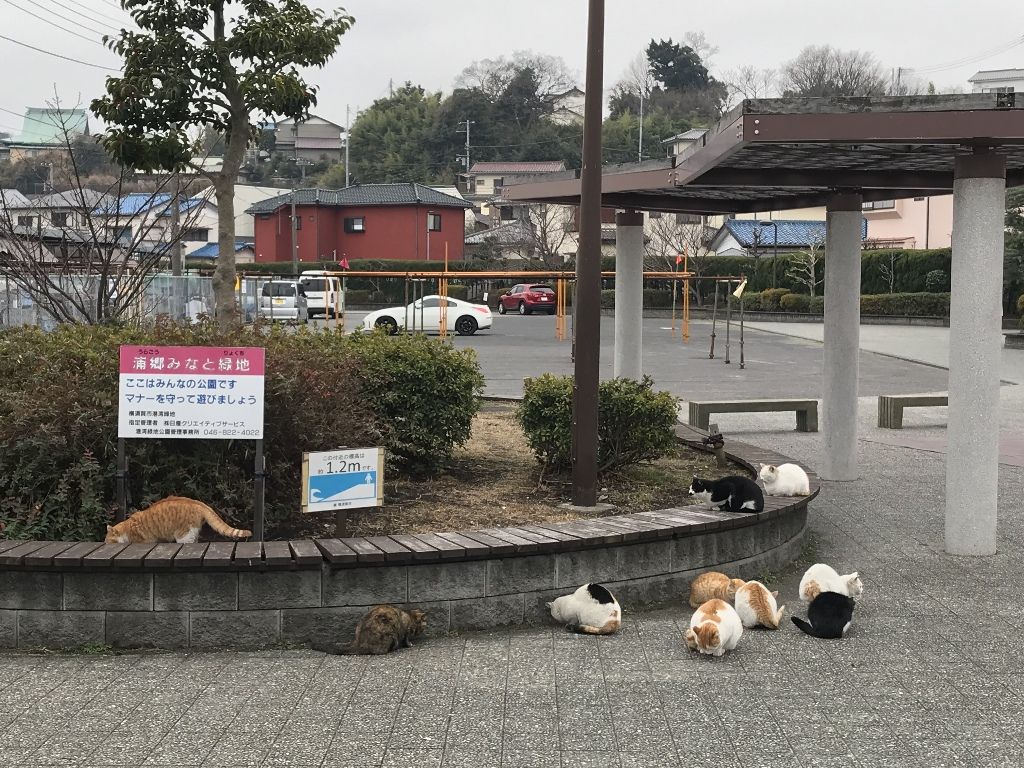 イメージ 20