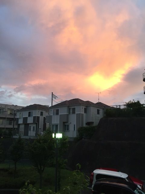 イメージ 24