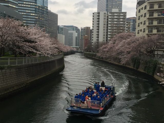 イメージ 6