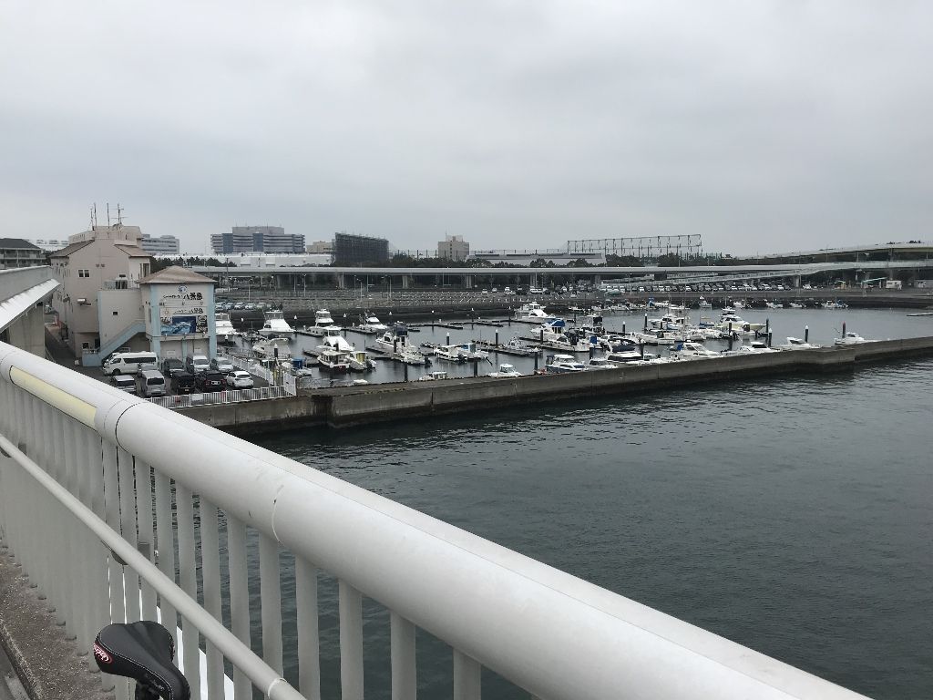 イメージ 11
