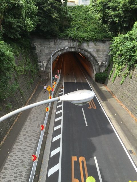 イメージ 14
