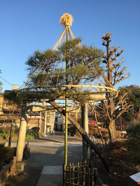 イメージ 11