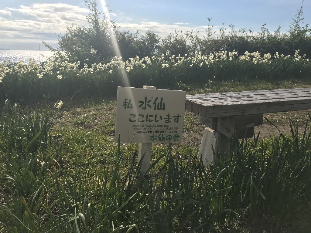 イメージ 5