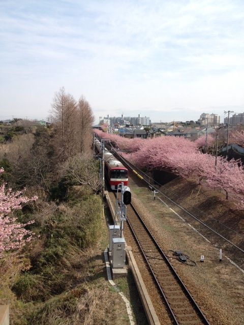 イメージ 5