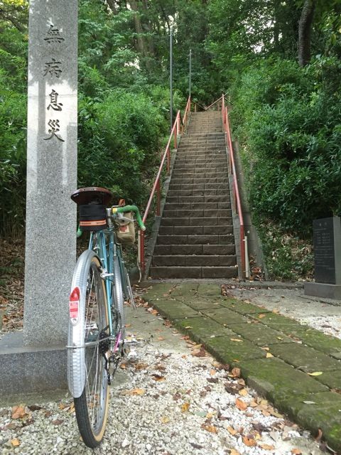 イメージ 5