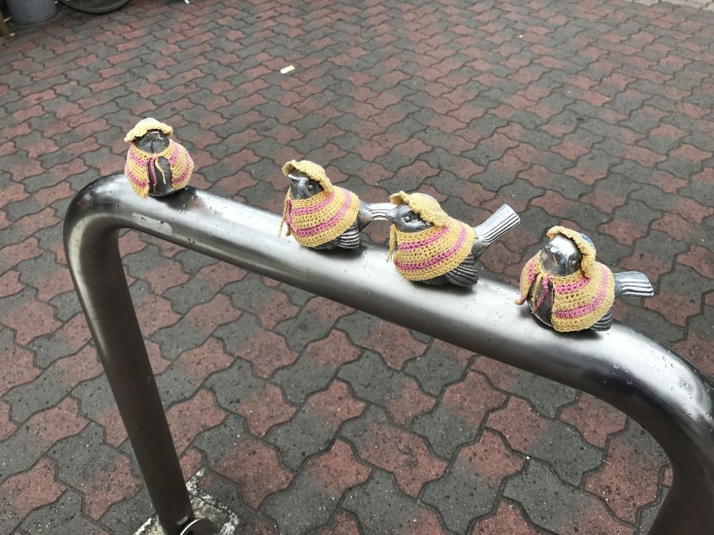 イメージ 14